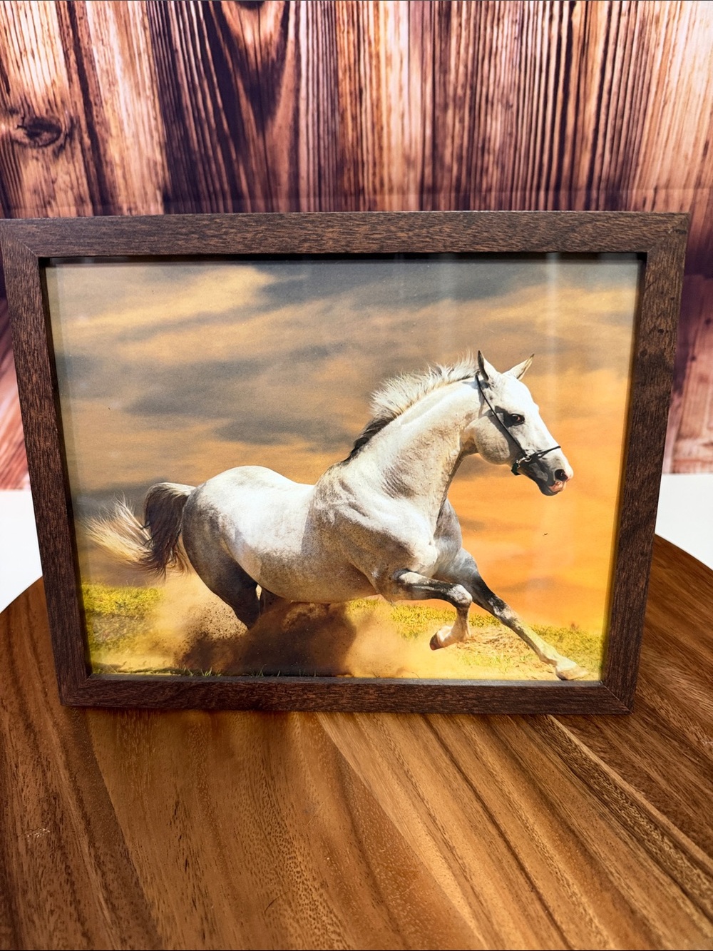 Framed White Horse Canvas Print in Brown Frame